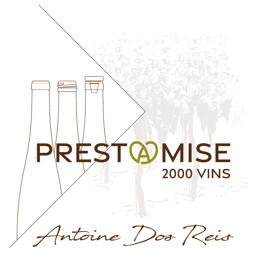 Logo PRESTAMISE