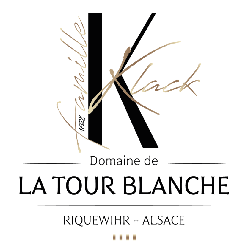 Logo DOMAINE DE LA TOUR BLANCHE